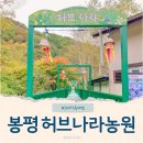 나라농원 | 봉평 가볼 만한 곳 강원도 평창 허브나라농원 3대 가족 여행 후기