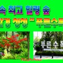 푸른수목원 이미지