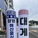 해변식당 | 인구해변맛집 | 양양해산물식당 솔직한 후기