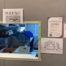 시흥드림바다 낚시터 | 주말 실내데이트 시흥 드림바다 실내낚시터 내돈내산 후기