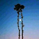 서현빌딩 이미지