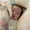세아장 네이버블로그