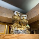 태헌뷰티헤어 이미지