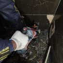 쇄암리 화장실 이미지