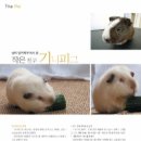 작은친구 이미지