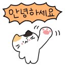 다인룸즈 - 강릉시 문화의길 8 | 다인룸즈