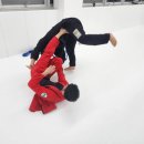 월영라스칼짐