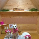 아트센타 앞 지하보도 이미지