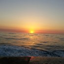 이정기농장 이미지