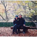 오리골민박 이미지