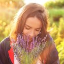 향기5로 이미지