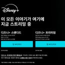 씬플러스 이미지