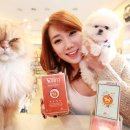 애플동물병원 이미지