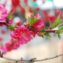 군북면 면사무소 | [금산군, 국사봉 임도라이딩 후기]