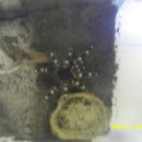 상월곡역1번출구 이미지