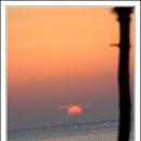 구례포 야영장 이미지