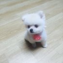 깍까독 이미지