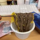 히니의 다이어트 일기41 ; 제발 감량유지를 달리자!