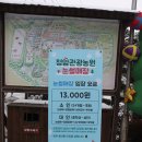 용수골농원 | 이천 청암관광농원 눈썰매장 내돈내산 후기