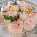 일송활어회 이미지