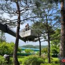 진천5교 이미지