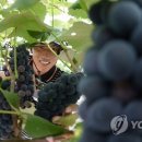 가평교역