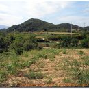 우회도로삼거리(좌) 이미지