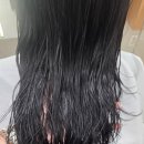 아이디헤어 브라이튼 여의도 | 헤어클리닉 받고 온 후기｜아이디헤어 브라이튼여의도점 선주 원장