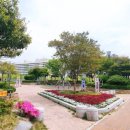 구덕운동장 체육공원 이미지