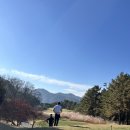 파리바게트대유 | 몽베르cc 남코스 이베르코스 겨울 라운딩 후기