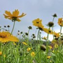 뉴여차펜션 이미지