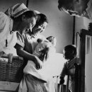 독일 적십자 병원터 이미지