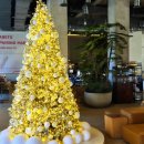 와와커뮤니티하우스 (옥내1) | 휘닉스파크 호텔 슈페리어 트윈 &amp; 스노우빌리지 후기: 겨울의 로망을 즐기고 옵니다!