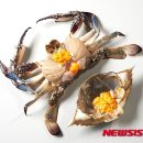 108.롯데마트_2 이미지