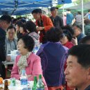 자양초등학교 이미지