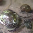 양지농원 이미지