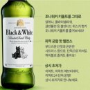 블랙앤화이트 이미지