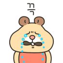 참본정형외과의원마포점 이미지