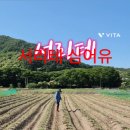 월정농원 민박 이미지