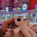 뻔펀한 뽑기 이미지