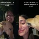 천사강아지 이미지