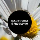 숲속맘