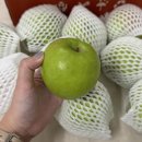 달콤마켓 | 프레쉬픽 딜리셔스 마켓 아삭 달콤한 썸머킹 사과 후기