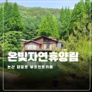 논산숲 | 논산 온빛자연휴양림 탑정호 뷰포인트카페 후기
