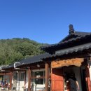 강원흑염소 | 강원도] 건강식의 끝판왕! 양구맛집 백악관 흑염소전골 &amp; 흑염소수육 솔직 후기 가족식사 추천/예약필수