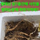 심봤다 - 제주시 고성남서길 8 | 심봤다