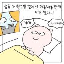 횡성중앙의원 | 백수의 삶 기록 : 1달차