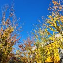 진보동물병원 이미지