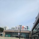 곤충생태원내 화장실(쇠똥구리) | 내돈내산후기 고양어울림누리 별모래극장에서 고고다이노 곤충탐험대 공연후기