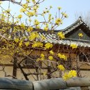 길목집 - 강서구 공항대로 649 | 길목집